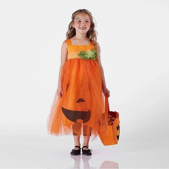 Pottery Barn Kids | Costumes | Pottery Barn Fairy Pumpkin Dress Girls Sz 46  Tulle Skirt Floaty Twirly Flaw | Poshmark